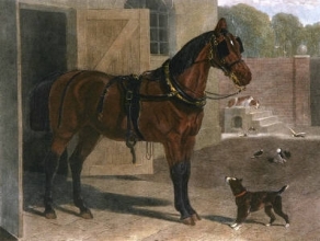 E253J - Braugham Horse 