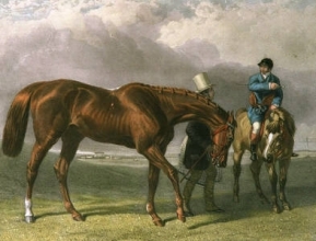 E253C - Racehorse