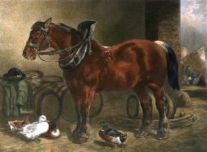 E253B - Dray Horse