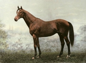 E231 - Diamond Jubilee 