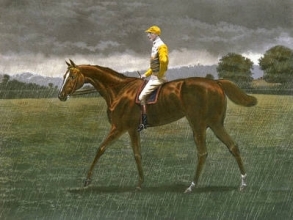 B101 - Sanfoin In The Rain 