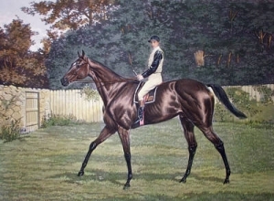 B120 - Donovon