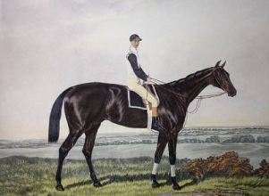 E203 - Ayrshire