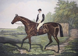 C206 - Donovan