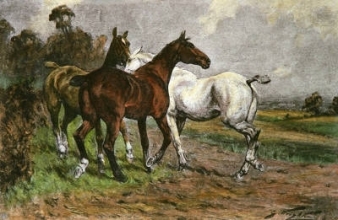 S301D - Hunters at Grass