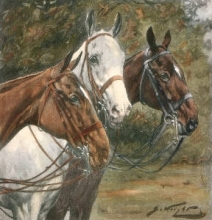 T926 - Polo Ponies 