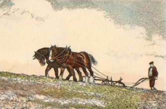 S307 - Ploughing