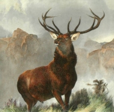 C103 - Monarch of the Glen 