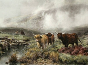 F198 - On Rannoch Moor 
