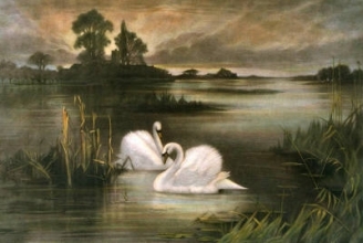 D185 - Lords of the Mere 