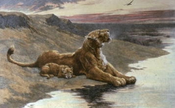 C199 - Maternal Care 
