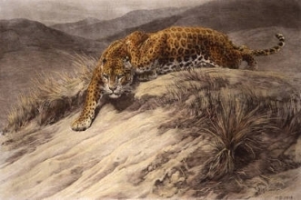 A206 - Stealth (Leopard) 