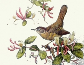 S106 - Nightingale