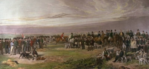 J112 - Waterloo Coursing Meeting 