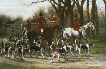 D053A - Proud of His Pack 
