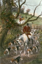 D044A - Artful Reynard 