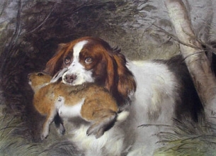 C139 - Trim (Dog with Rabbit) 