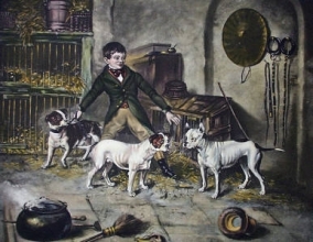 J091 - Jem Burn's Pets