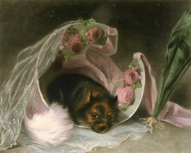 B289 - Bed of Roses 