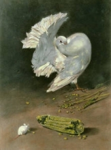B270 - Dignity & Impudence Dove+Mouse 