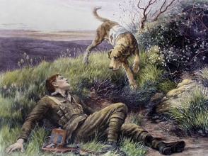 A295 - Rescued (Red Cross Dog) 