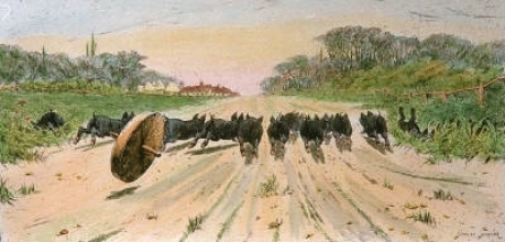 C086A - Completely Routed (Pigs) 