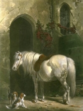 D265 - Keepers Pony 
