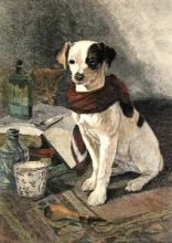 D260 - Convalescent