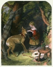 D175 - Pets, The 
