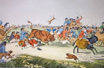 F029B - Bull Broke Loose