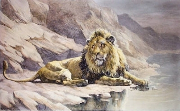 E272 - Monarch of the Desert