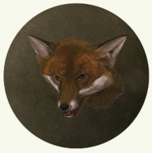 J097 - Sly Boots (Fox)