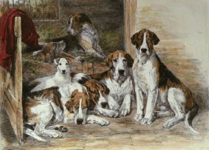 J025 - Hounds