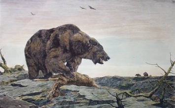 G198 - Grizzly Bear 