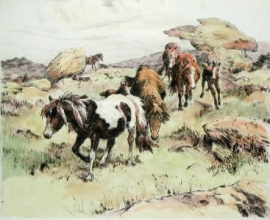 L266 - Ponies