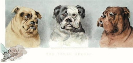 K327 - Three Graces, The