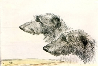 K057E - Wolfhounds Heads