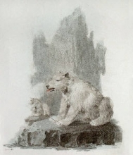 L364 - Polar Bear 