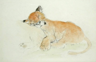 P889 - Lion Cub 