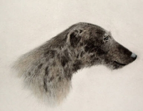 P360 - Deer Hound