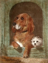 W007 - Dignity & Impudence (dogs)