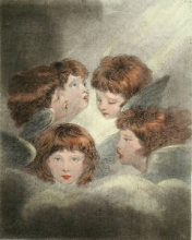 S709 - Study of Heads