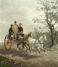 W454B - Tandem