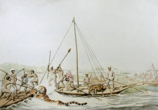 W436 - Killing Game in Boats