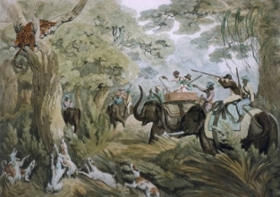 W423 - Shooting a Leopard