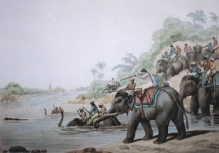 W416 - Chasing a Tiger across River