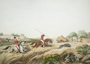 W403 - Chase after a Hog, The