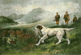 S701A - Through the Heather