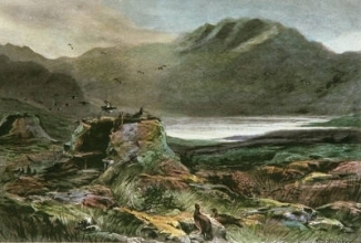 S621A - Grouse Driving - Plate I