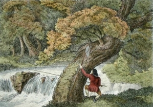L424A - Worm Fishing
